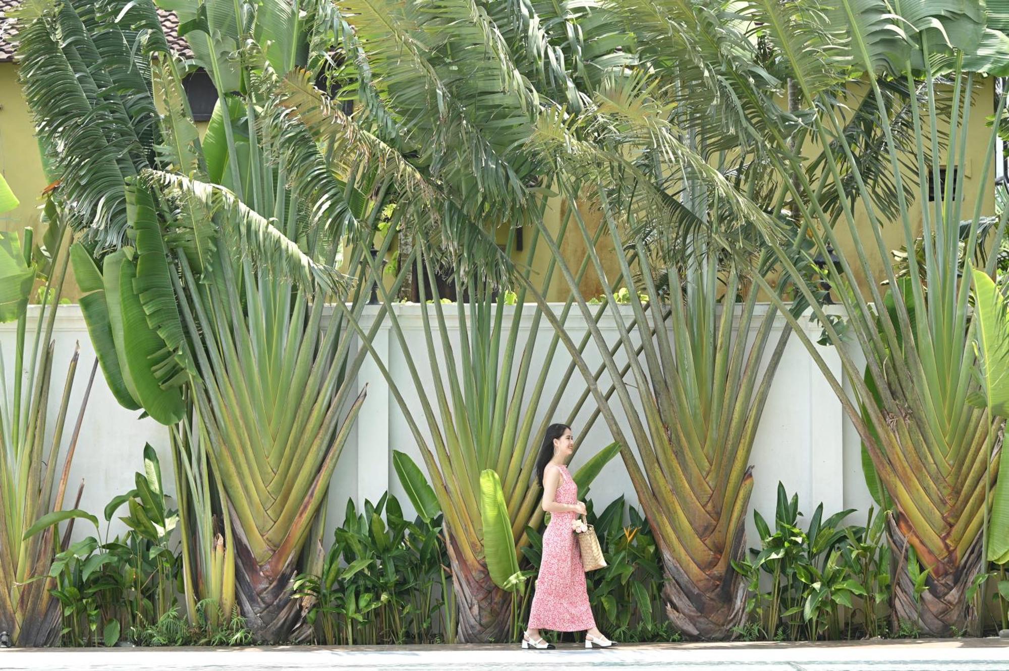 Shining Riverside Hoi An Boutique & Spa Exteriör bild